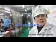 Interruttore a membrana PET personalizzato per apparecchiature mediche e applicazioni industriali